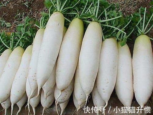 扁鹊内经|肝若硬化,头先知?头部若出现5个异常,建议:去医院做肝CT检查