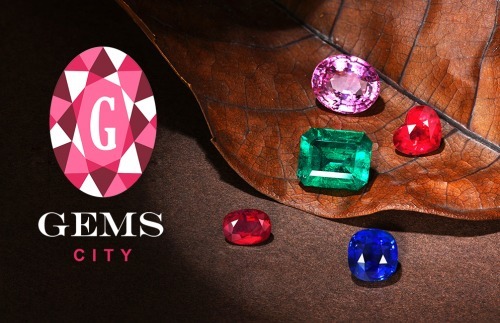 社交|GEMS CITY 添石城 - 推动社交购物的发展