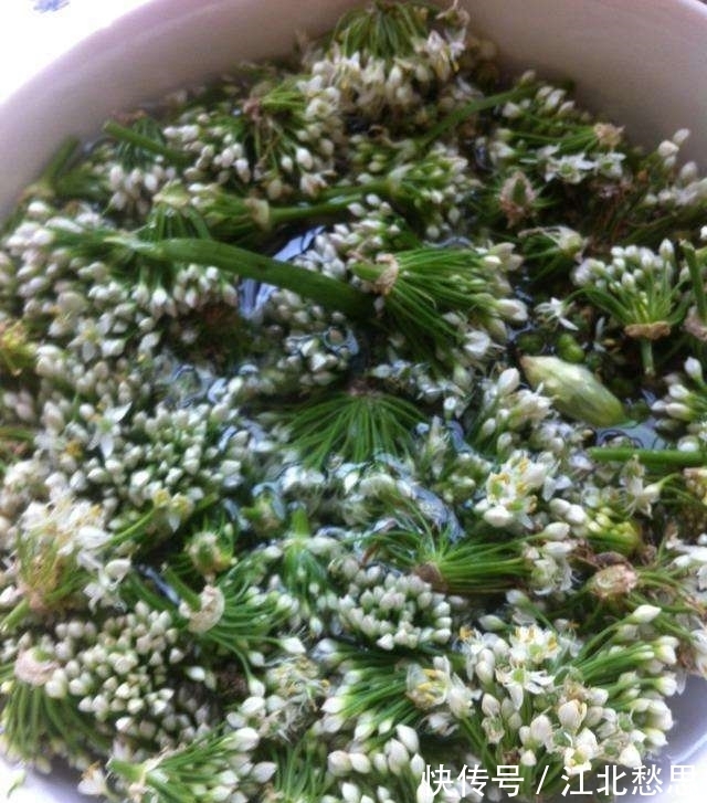 贫血体|女性月经少,莫慌!多食用此物,远离妇科炎症,排污血,痛经好了