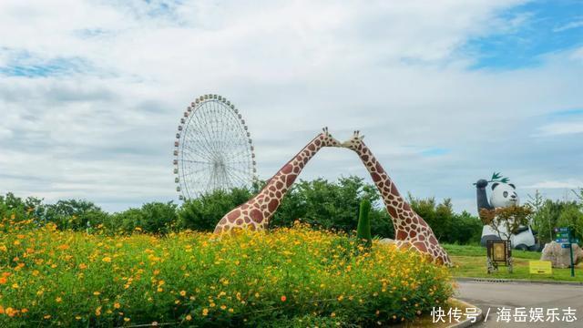 惊艳！这处百花齐放的花海师生全免费！这个暑假就约起！