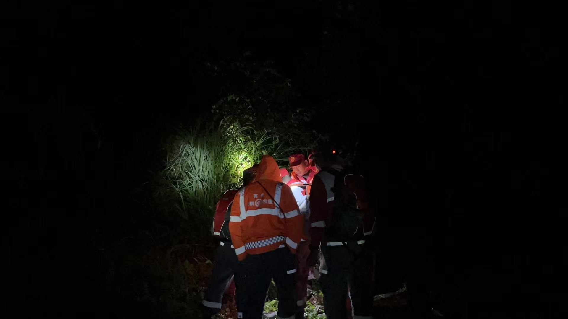 搜救|一大四小雨夜迷路山林，富阳警民联手搜救成功脱险！