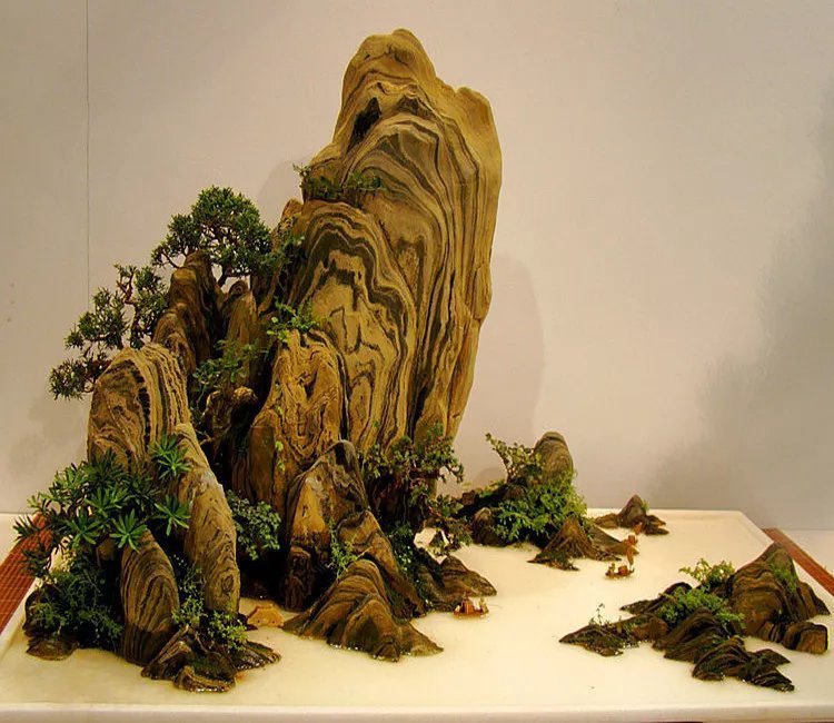 收藏|惊艳的6大盆景造型,中国植物艺术的巅峰,收藏起来