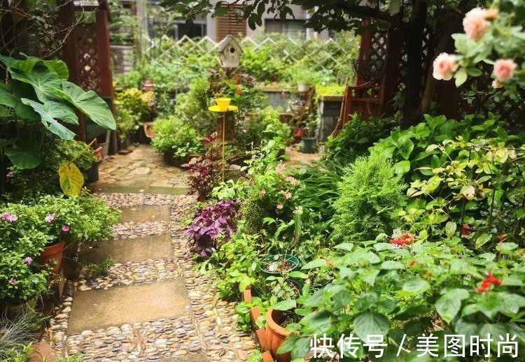小院|荒废多年的80㎡小院，2年半时间打造成下沉式花园，太漂亮了！