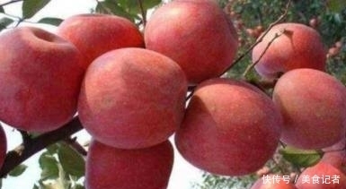 个个|学会这几点,保证你挑的苹果个个又脆又甜