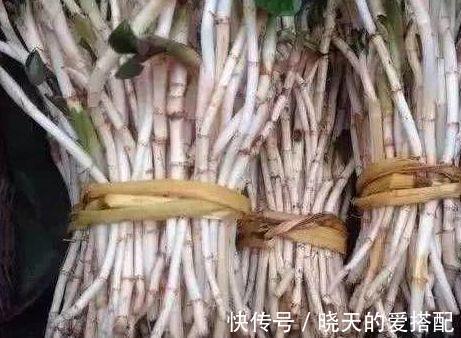 排毒|会吃的人更健康，常吃3物，促进排毒，滋养肌肤，还能保养子宫