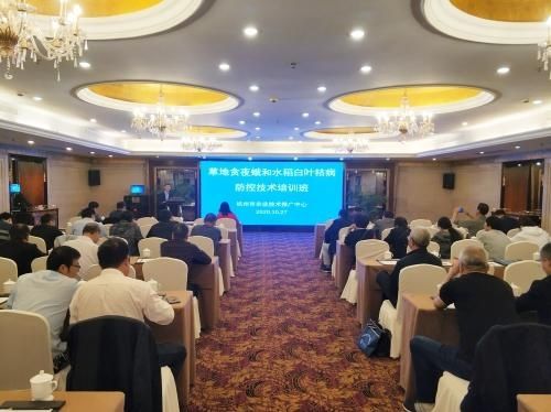 草地|市农技推广中心举办全市草地贪夜蛾与水稻白叶枯病防控技术培训班