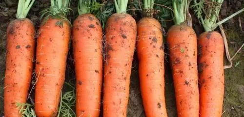 血糖|藏在身边的天然“二甲双胍”,每天换着吃,血糖慢慢就会降下来