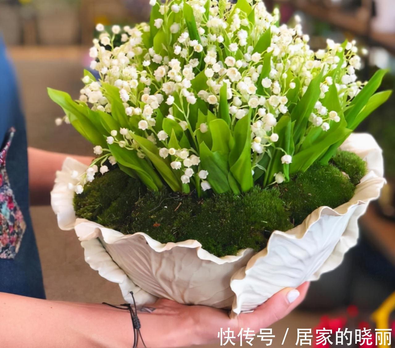 越漂亮的花越“有毒”!快来认识这12种大毒花,涨“知识”不吃亏
