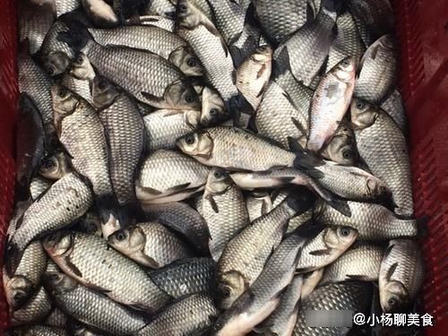 柠檬汁|它是“鱼腥”的克星，做鱼稍微加一点，鱼肉又香又嫩，没有腥味