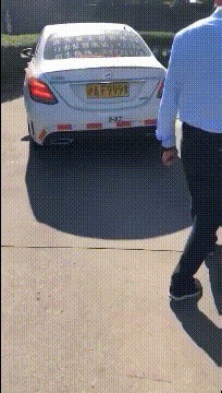 |搞笑GIF:鱼:只要功夫深,迟早有一天我会逃出去的