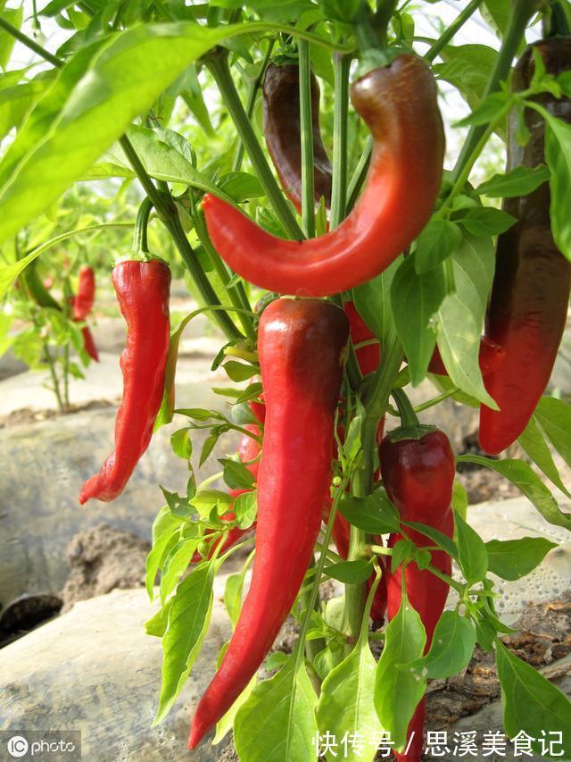 高血压患者|血压高的人,想要稳定血压,谨记:早起3要慢,日常4不吃