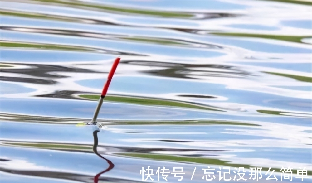 鱼口杂乱无实口，调低钓高这么调，马上竿竿都是死口