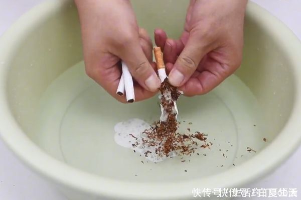 香烟加洗衣粉泡一泡太厉害了,10个家庭9个都需要,一年省不少钱