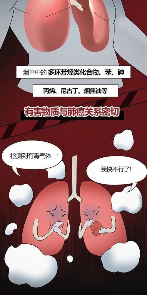 4-4|“我,27岁,肺癌晚期”:生命若可以重来,我一定远离这个“杀手”!