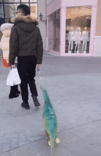 狗子|“一男子为了庆祝好友退役归来,竟女装欢迎?”哈哈哈哈