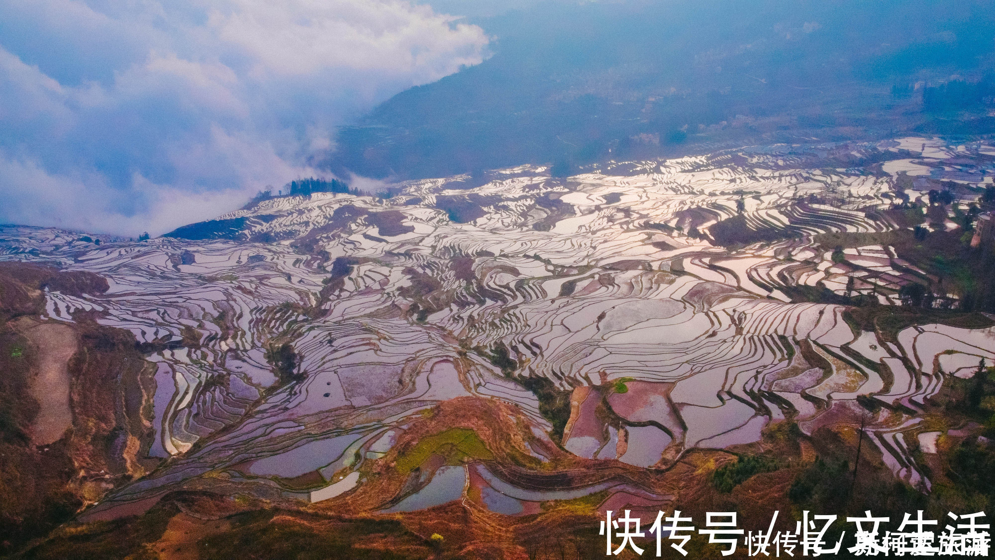 元阳县|中国最大梯田，3700阶梯田像直插云海的天梯，游客：第一次见