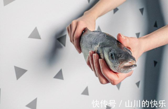 |网友总结:坚持上班的15个理由,搞笑又扎心,你中招了吗?