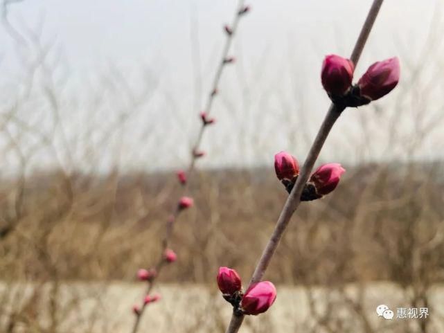 春花春雪春雨绝美春色，这样的易县，你见过吗？春分限定，速度