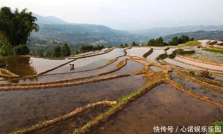 重庆这些绝美的梯田，让你感受宁静的田园风光