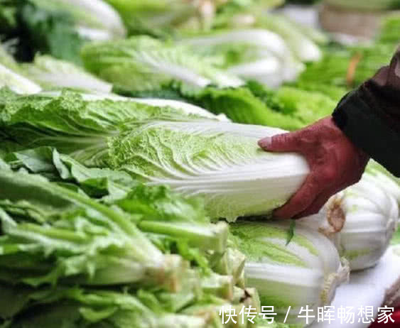 兔肉|提个醒炒白菜不能放此物，吃了就是没病找病，现在知道还不晚！