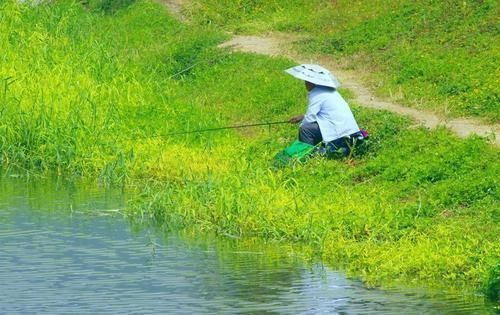 钓鱼|从鱼性钓位钓技看钓鱼，这些口诀很好记哦