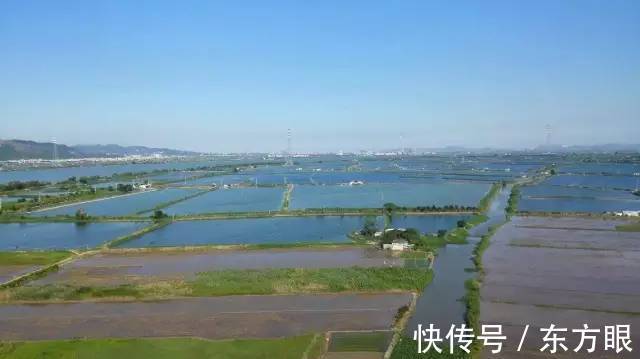 《钓鱼》的结局，惊醒无数人！