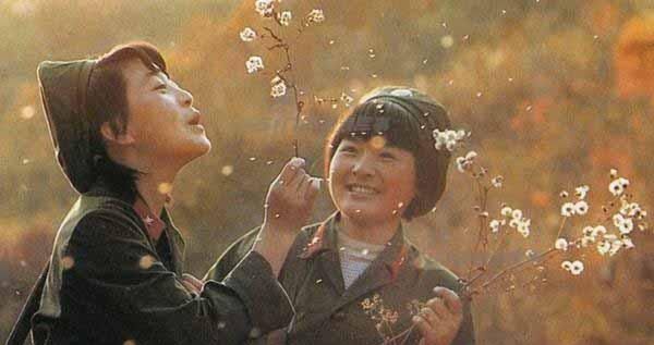 王艳#百万裁军中的一对恋人:女干事悄悄调北京,连长决不离开老部队