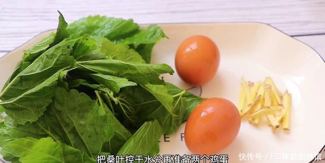 桑树全身都是宝,小慢教你桑叶新吃法,好吃营养又健康