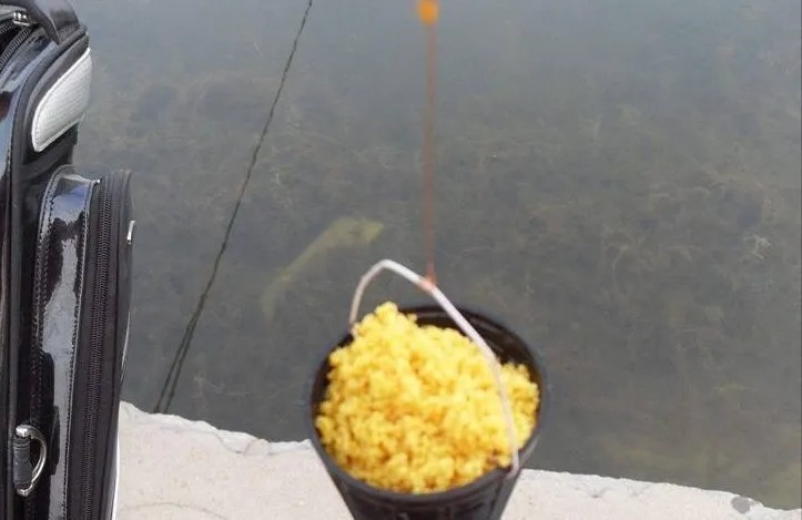 冬季钓鲫鱼,为什么鱼情差?这5个常识性的错误,总有一款适合你