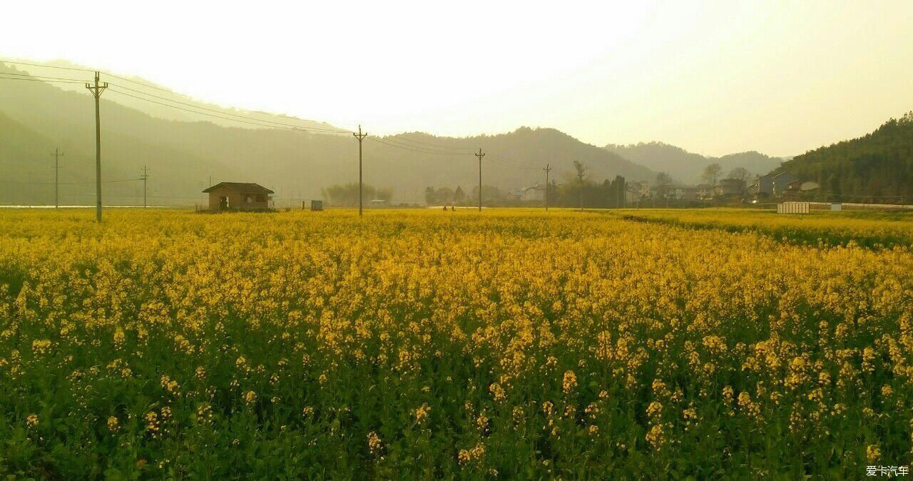 浙江|爱在山花烂漫时