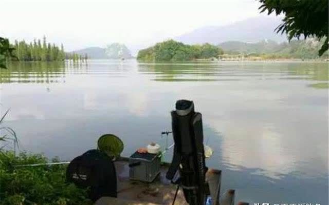钓鱼|夏季选钓位,找这些低水温、高溶氧的位置,往往能找到鱼群