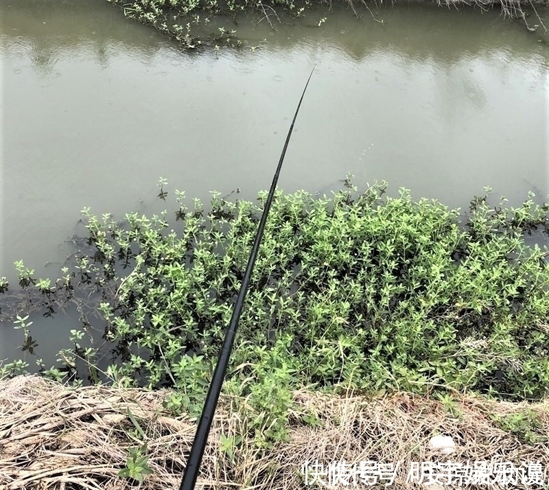 水草|钓鱼就一定要“钓草”？“钓草”怎样选择其钓点位置？