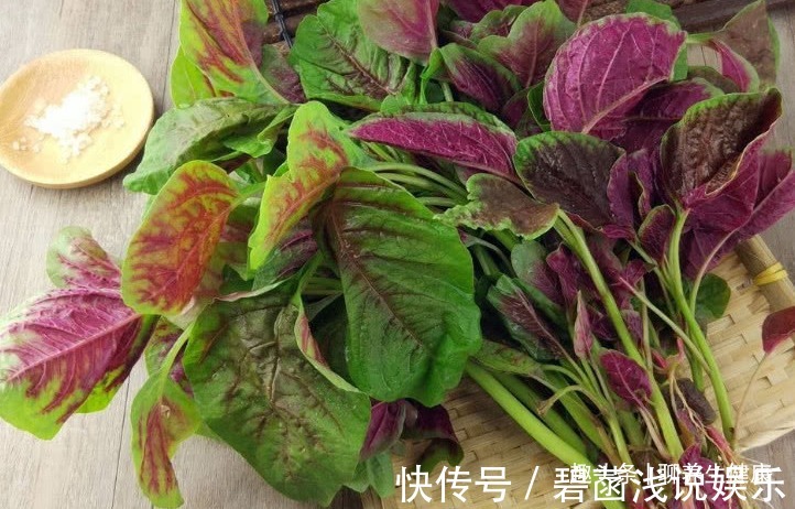 红苋菜|一两苋菜一两金!4种吃法解毒减脂、补钙益脑,胜过诸多大补药!