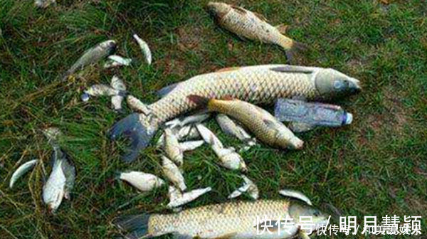 铅坠|钓鱼这么多年,你还没用过双铅线组这可是钓大鱼必学技巧