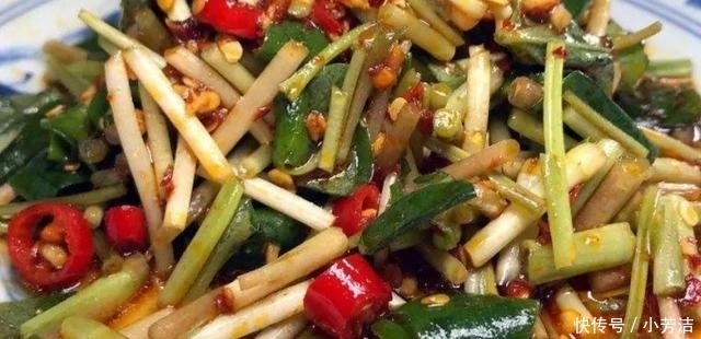 鱼腥草5种最好吃的做法，简单美味又下饭，你爱吃哪种？