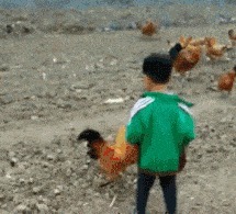 |搞笑GIF:熊孩子你做了, 我小时候想做又不敢做的事情