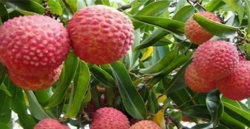 女性|女性不愿老得快，坚持多吃3种食物，排毒养颜，抵抗衰老