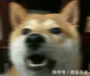 还原|全球的猫都想屏蔽这个日本人,他到底做了多少沙雕手办?