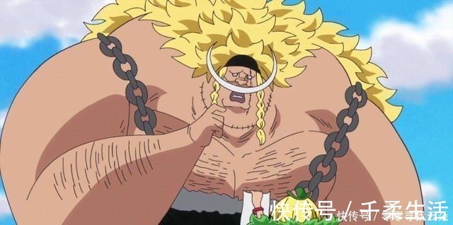 白胡子|细数《海贼王》中的“带孝子”,艾斯,卡二上榜,最狠的还是明哥