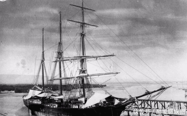  乐坏了|中国人参比黄金贵，西方人乐坏了：我们那漫山遍野都是！