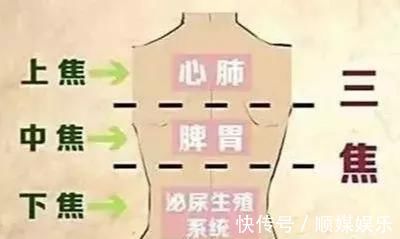 人体|搞懂了人体“三焦”,所有疑难杂症,都迎刃而解