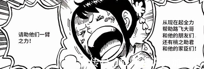 凯多|海贼王漫画1018话回顾福兹福实力,索隆恢复后会与king单挑