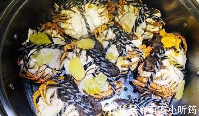 蒸大闸蟹时，直接上锅蒸就废了，多加这1步，蟹肉鲜嫩入味不流黄