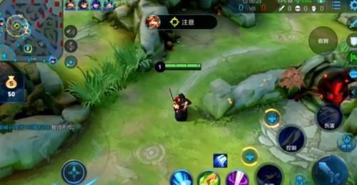 仙秀橘|张大仙秀橘右京新皮肤,把系统都打出来了,最后还被队友举报