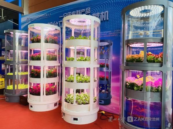 梦想|智能阳台种菜机:打造城里人的田园梦想