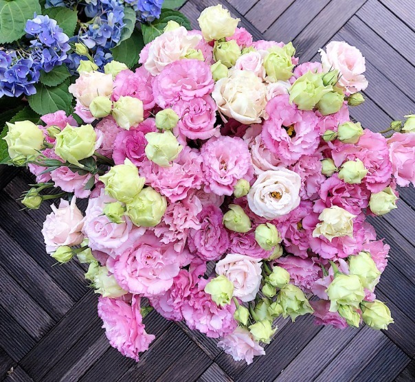 有“3种花朵”比月季还美，一旦绽放，能让人目不转睛，快养一盆