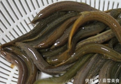 土腥味|炒泥鳅下锅前,很多人都没做这一步,难怪有股土腥味