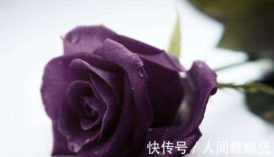 爆仓|恭喜三生肖，新年新气象，2021年里金库大爆仓，存款翻番涨