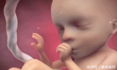 除了睡觉，胎儿如何每天在肚子里都干啥宝宝小日子开心到飞起