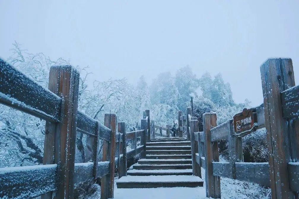  大雪|今日大雪｜晚来天欲雪，能饮一杯无？